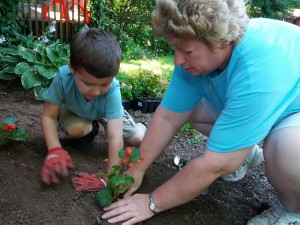 Planting a student garden