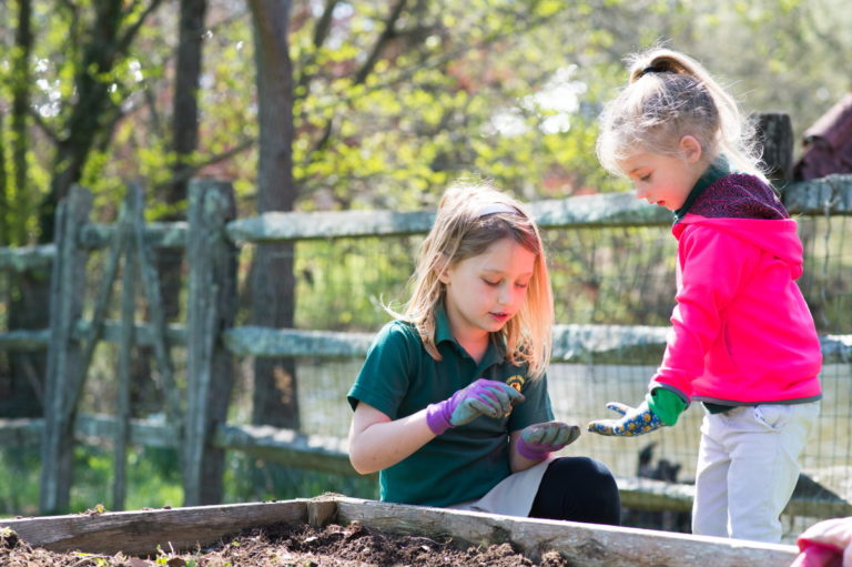 Gardening