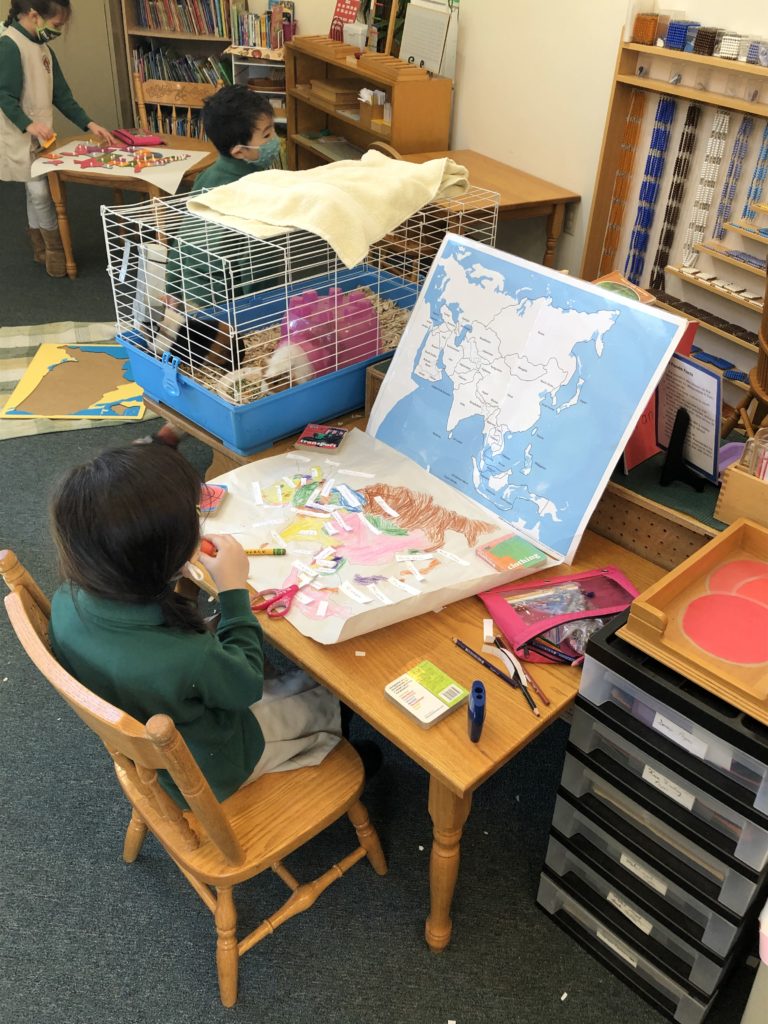 Child in Classroom