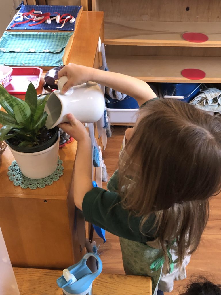 Student Watering Plants