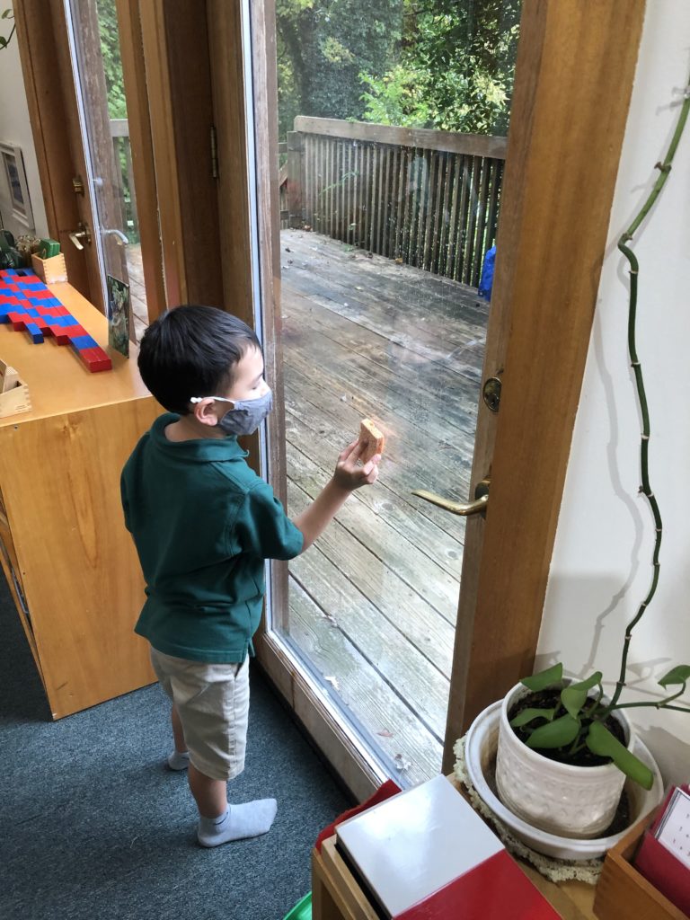 Student Window Washing