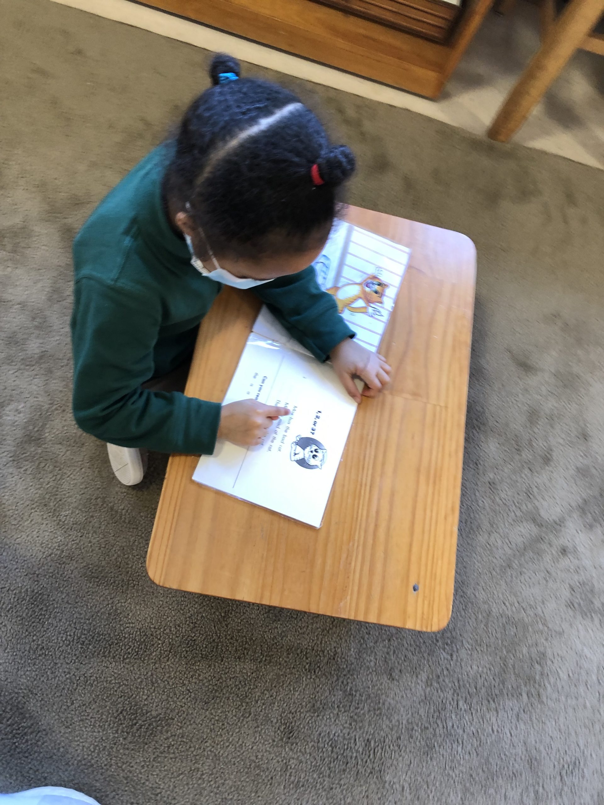 Student Reading