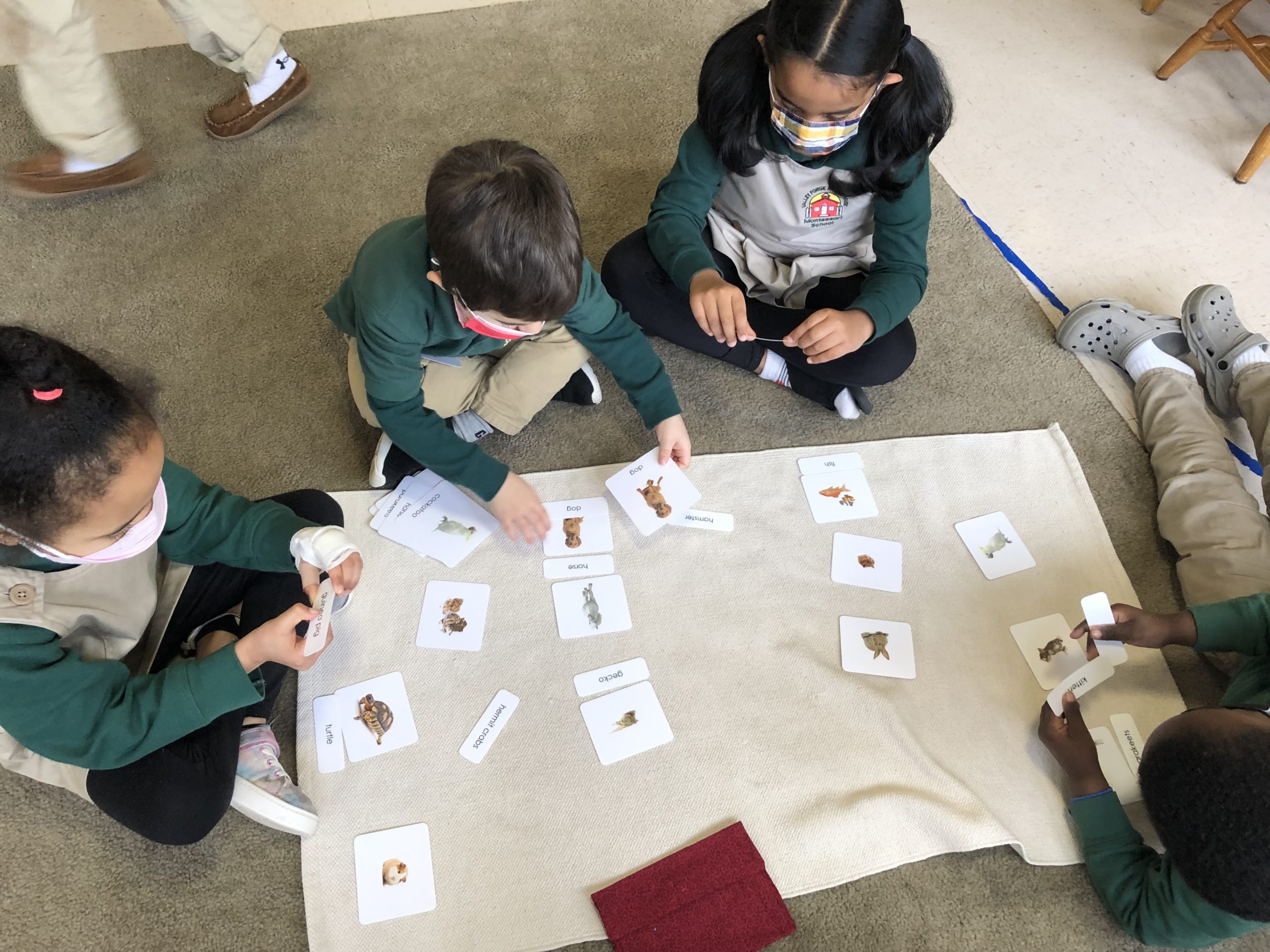 Team work doing 3 part cards