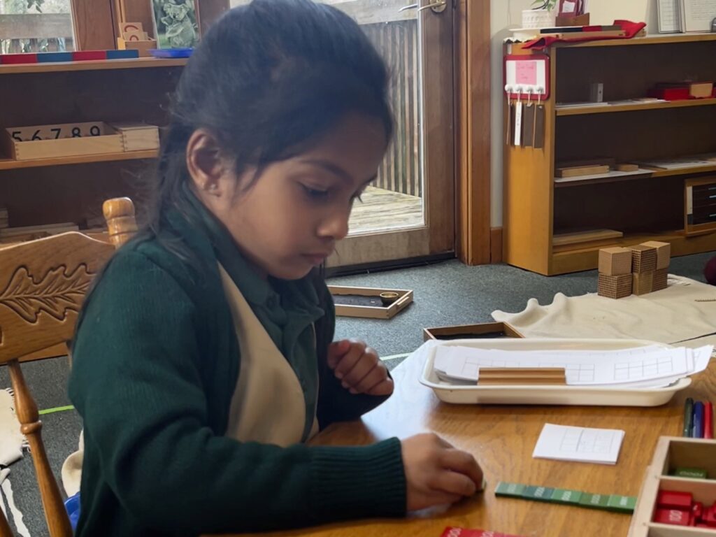 Developing Math Skills - VFKH Montessori School